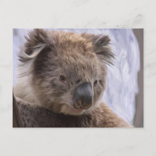 Postal Koala Bear