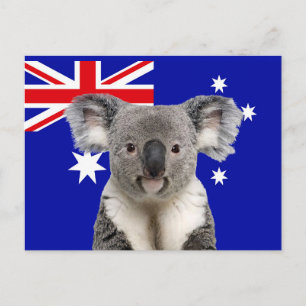 Postal Koala con fondo de la bandera australiana