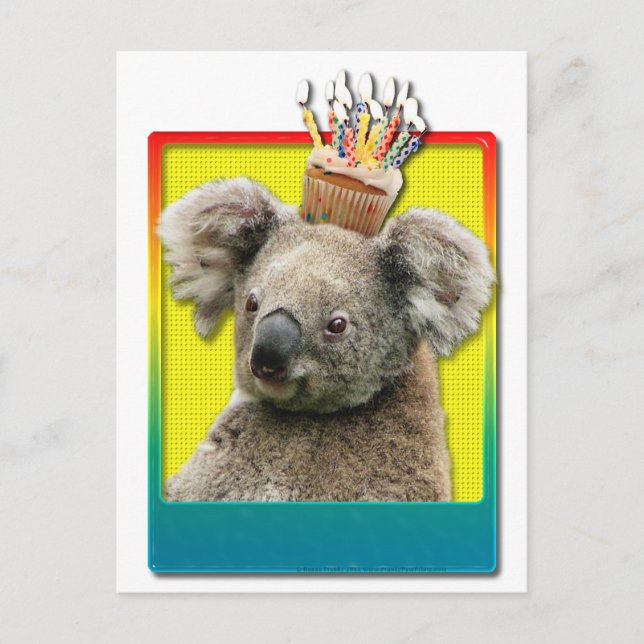 Postal Koala de la magdalena del cumpleaños (Anverso)