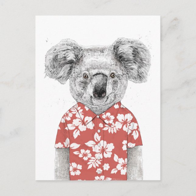 Postal Koala de verano (rojo) (Anverso)