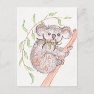 Postal Koala en la rama del árbol