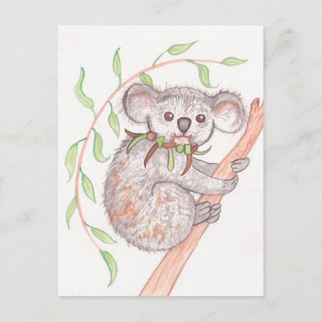 Postal Koala en la rama del árbol (Anverso)
