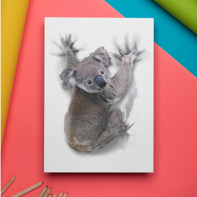 Postal Koala Hang En Un Animal De Australia (Subido por el creador)