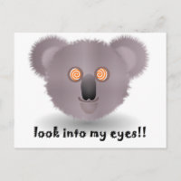 koala hipnótica