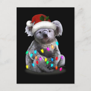Postal Koala Sentado Con Navidades Enfoca La Temporada De