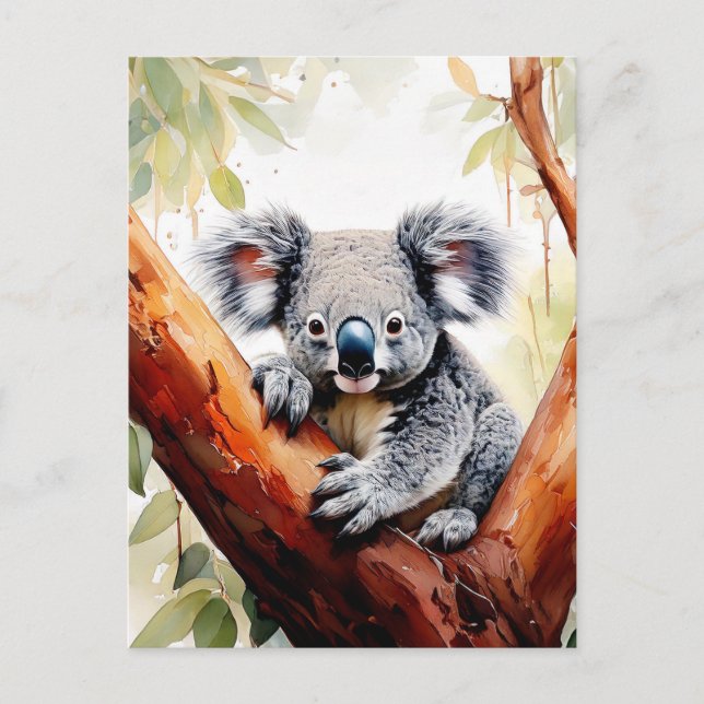 Postal Koala sentado en un árbol de goma (Anverso)