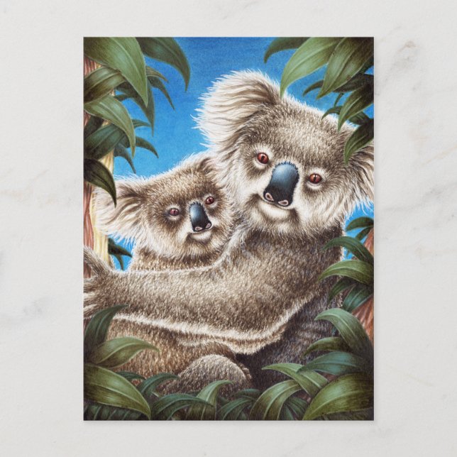 Postal Koala y Baby (Anverso)