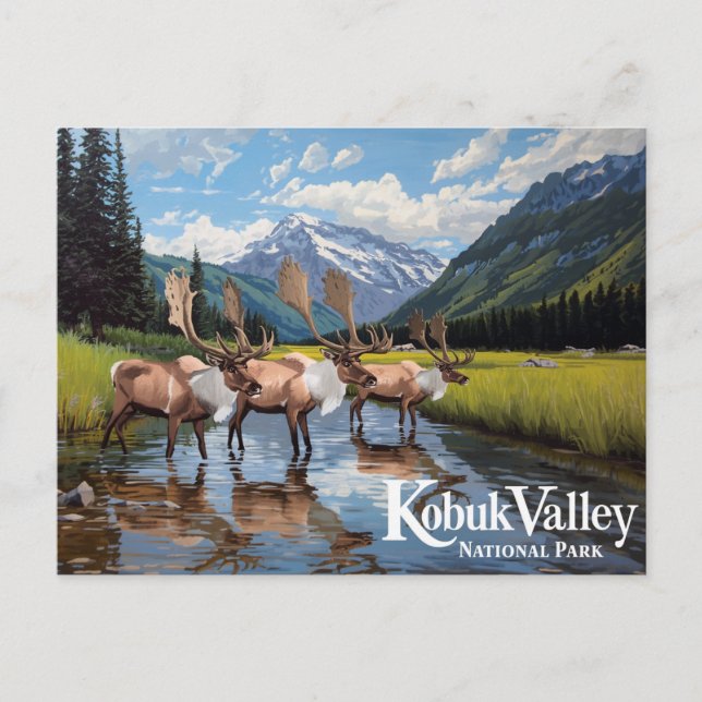 Postal Kobuk Valley Caribou Herd Alaska Art (Anverso)
