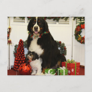 Postal Kobus y Grover - Eiting 4