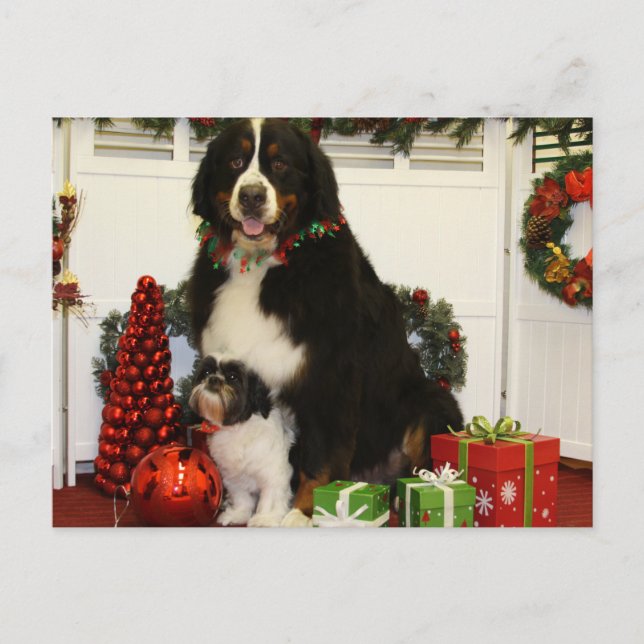 Postal Kobus y Grover - Eiting - Foto 4 (Anverso)