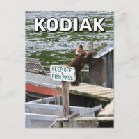 Kodiak Bear Rompe Las Reglas
