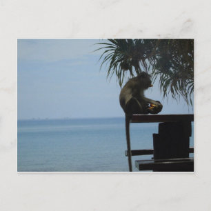 Postal Koh Lanta