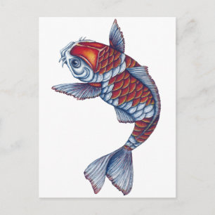 Postal Kohaku Koi Fish