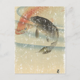Postal Koi