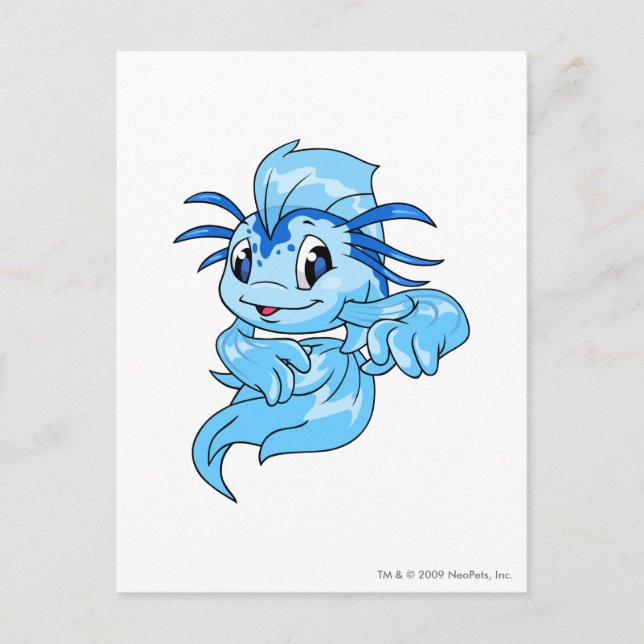 Postal Koi Blue (Anverso)