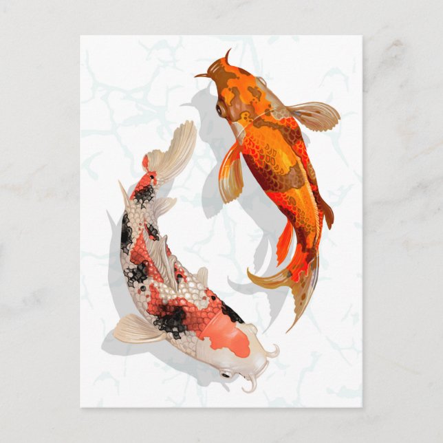 Postal Koi Fish (Anverso)