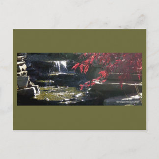 Postal Koi Pond en HFSC