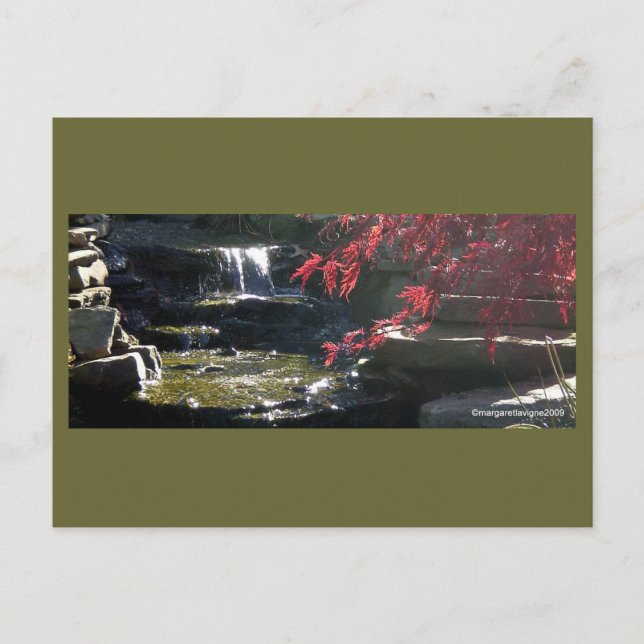 Postal Koi Pond en HFSC (Anverso)