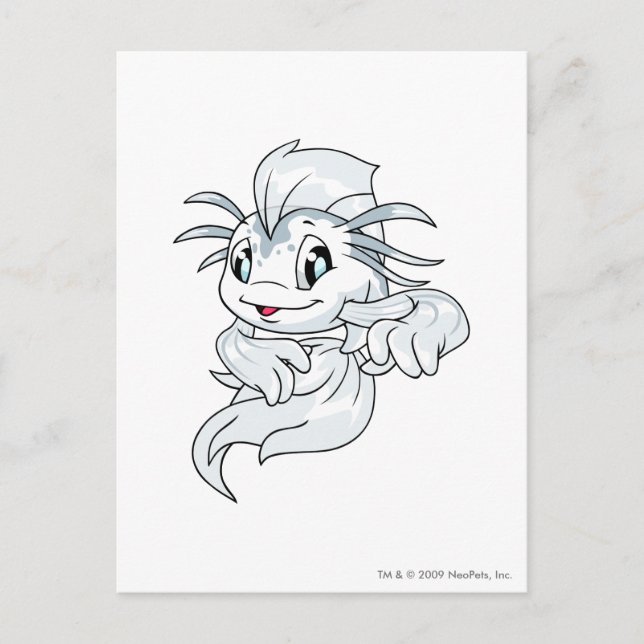 Postal Koi White (Anverso)