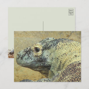 Postal Komodo Dragon