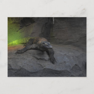 Postal Komodo Dragon