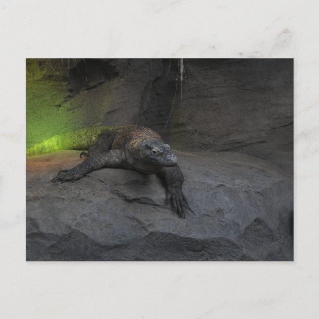 Postal Komodo Dragon (Anverso)