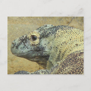 Postal Komodo Dragon