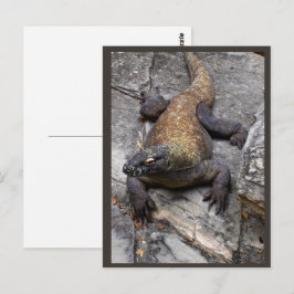 Postal Komodo Dragon Rocky Scene