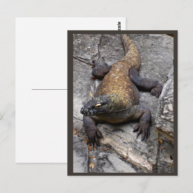 Postal Komodo Dragon Rocky Scene (Anverso / Reverso)
