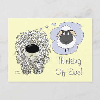 Postal Komondor - Pensando en la oveja