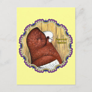 Postal Komorner Tumbler Pigeon Woodgrain