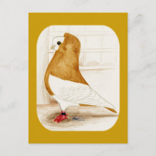 Postal Komorner Yellow Mag Pigeon 1973