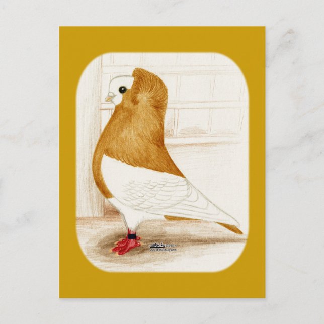 Postal Komorner Yellow Mag Pigeon 1973 (Anverso)