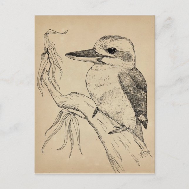 Postal Kookaburra (Anverso)
