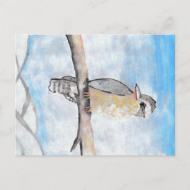 Postal Kookaburra
