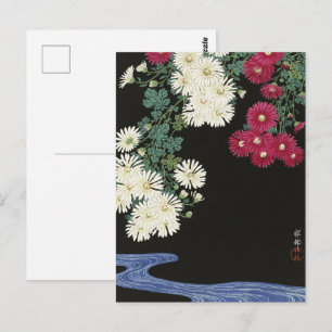 Postal Koson Chrysanthemum Jardín Flores Japonesas