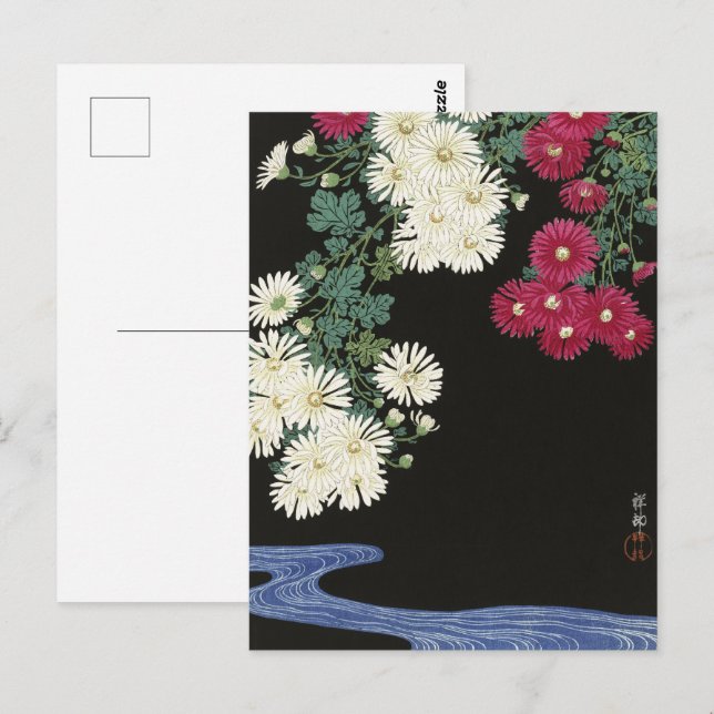 Postal Koson Chrysanthemum Jardín Flores Japonesas (Anverso / Reverso)