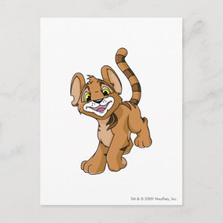 Postal Kougra Brown