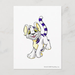Postal Kougra White