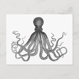 Postal Kraken - Octopus gigante negro / Cthulu