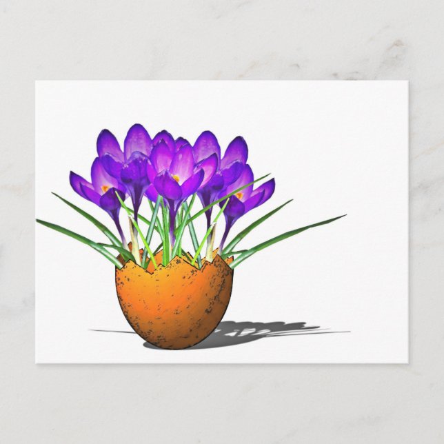 Postal Krokusse (Anverso)