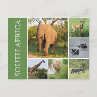 Postal kruger sudáfrica