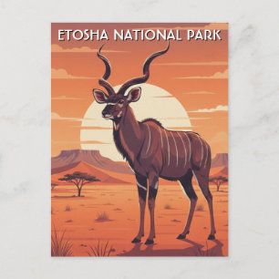 Postal Kudu en el Parque Nacional Etosha Namibia Viajes