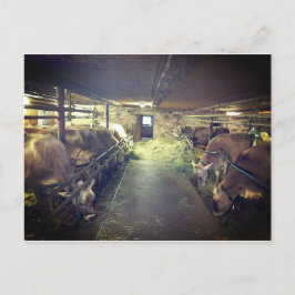 Postal Kuhstall