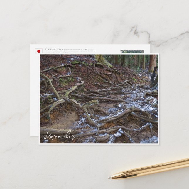 Postal Kurama-dera (Kinone-michi tree roots road) ポストカード (Anverso/Reverso In Situ)