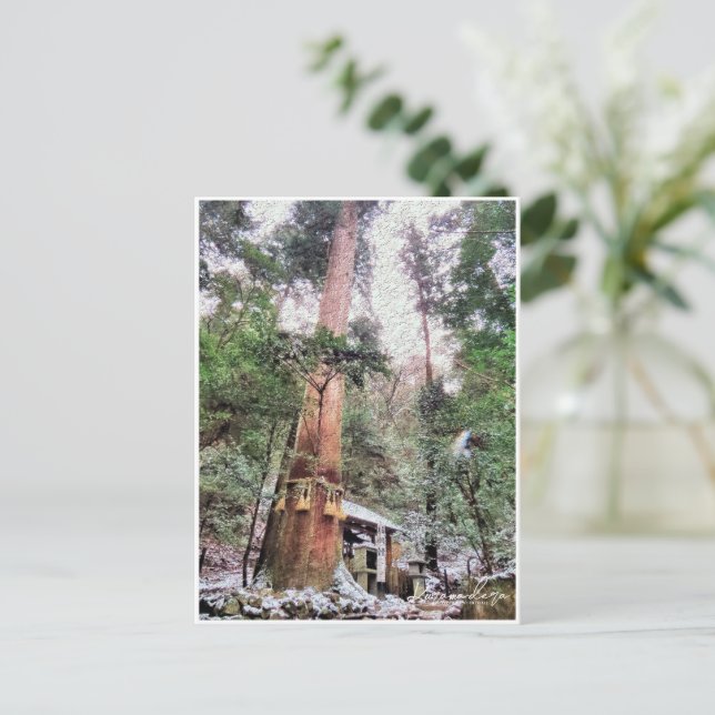 Postal Kurama-dera (Yoshitsune-do hall) (Anverso de pie)