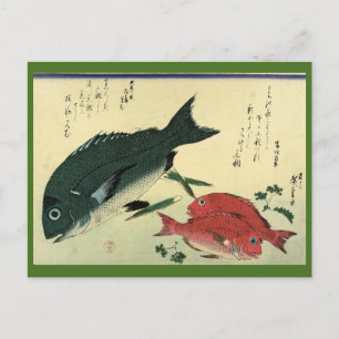 Postal Kurodai & Akadai - Estampa japonesa de peces de Hi