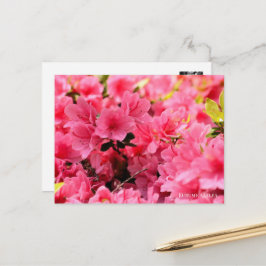 Postal Kurume Azalea