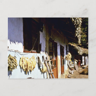 Postal Kyongsangnam-Do - Villag tradicional de Chonghak-d