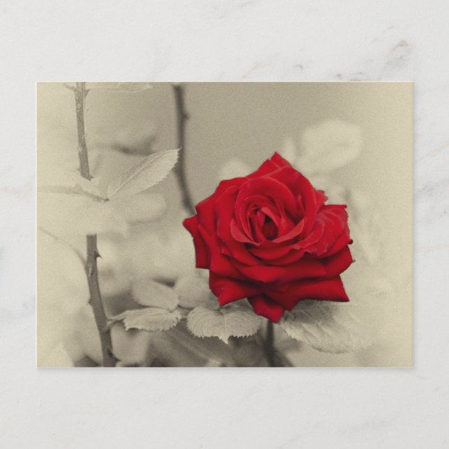 Postal _L0S7918.jpg (Anverso)